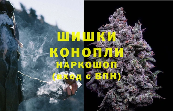 спиды Заводоуковск
