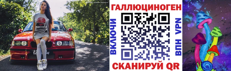 Купить  Жиздра  Галлюциногенные грибы Psilocybine cubensis 